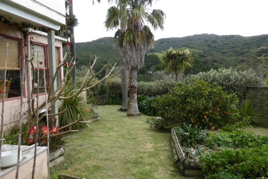 Great Barrier Oasis Lodge Tryphena Exterior photo